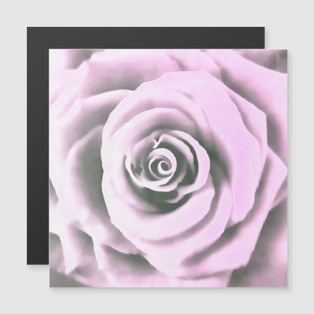 Rosa Rosa Rosa Artista Rosa (Frente/Verso)