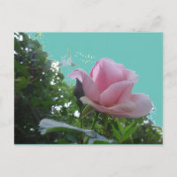 Rosa Rosa Rosa Rosa Rosa Feche Cartão Postal