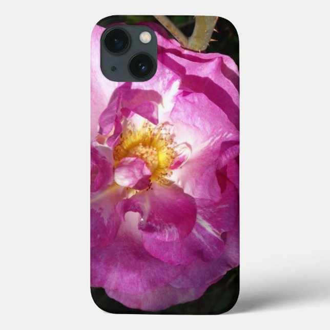 Rosa Rosa Rosa Rosa Rosa iPhone 6/6, Difícil Xtrem (Verso)