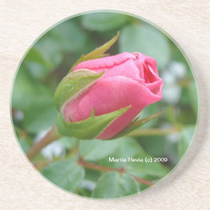 Rosa Rosa Rosa Rosa Rosa - Porta copos