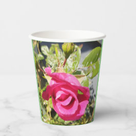 Rosa Rosa Rosa Rosa Rosa Rosa#2/Rosa Rosa Rosa Ros