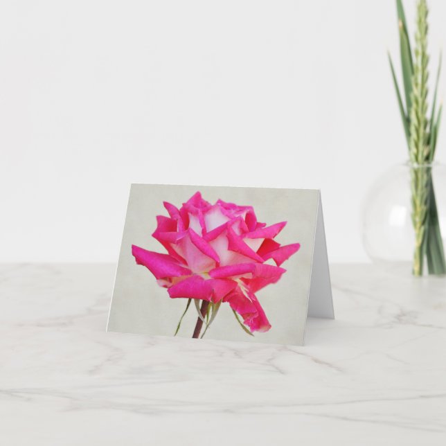 Rosa rosa solteiro do Cartão de Nota de Jardim de  (Frente)