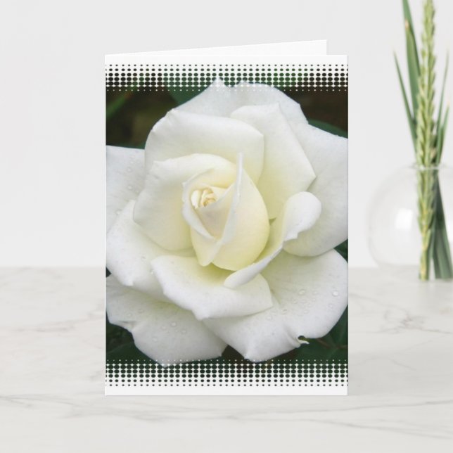 Rosa Significa Cartão de Saudação (Frente)