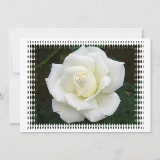 Rosa Significado Convite (Frente)