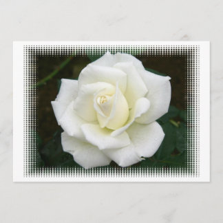 Rosa Significado Convite
