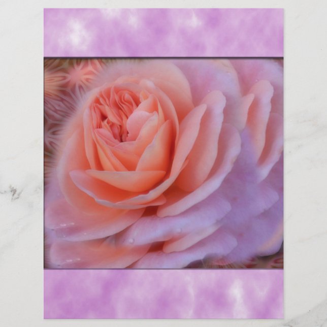 Rosa solteiro de Pêssego do  (Frente)