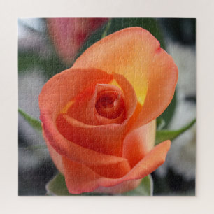 Rosa sunset Quebra-cabeça