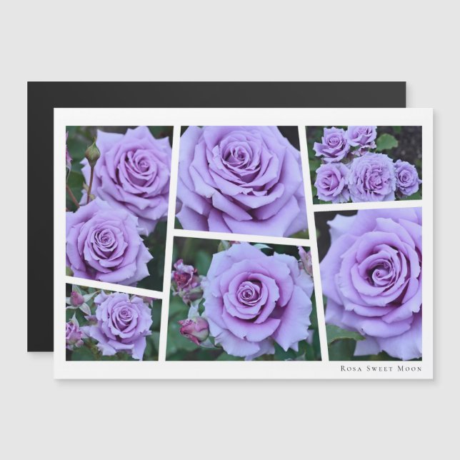 Rosa Sweet Moon (Frente/Verso)