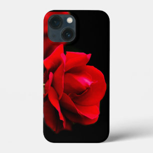 Rosa vermelha