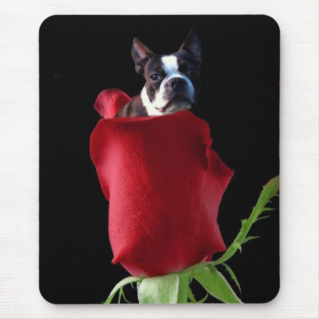 Rosa vermelha boston terrier mousepad (Frente)