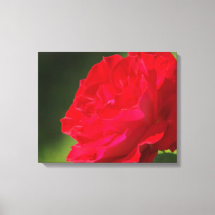 ROSA VERMELHA - CANVAS