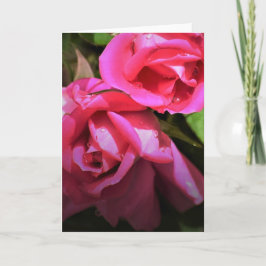 Rosa vermelha, cartão