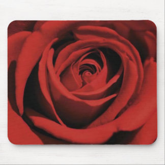 Rosa vermelha de florescência Mousepad