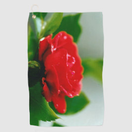 Rosa vermelha de manhã coberta com gotas de orvalh