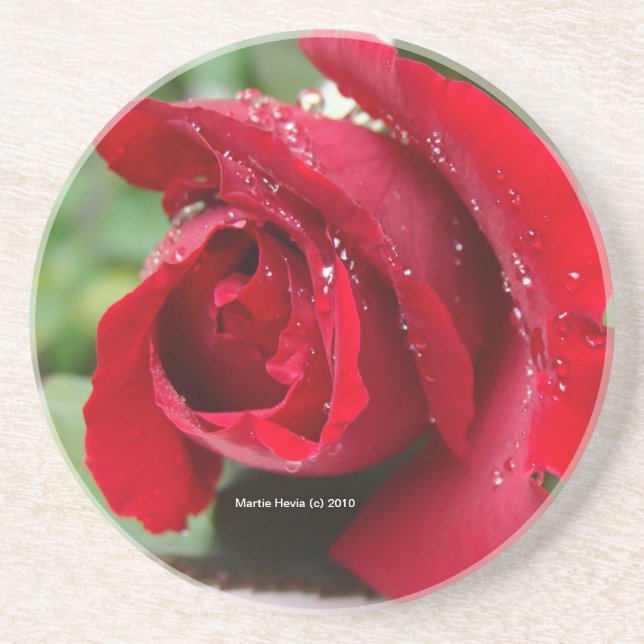 Rosa vermelha de mastigação - Porta copos (Frente)