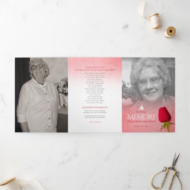 Rosa vermelha de ordem de serviço do programa fune (Fora)