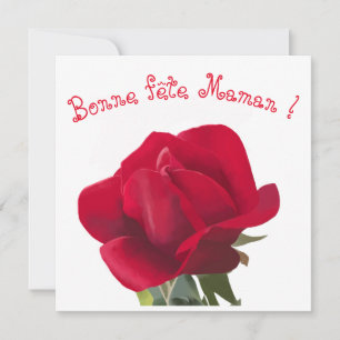 Rosa vermelha - Dia das mães
