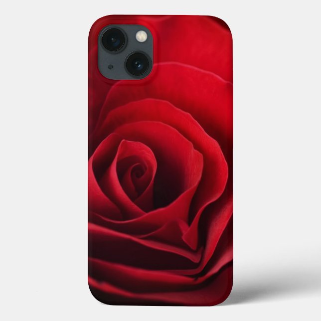 Rosa vermelha dos namorados (Verso)