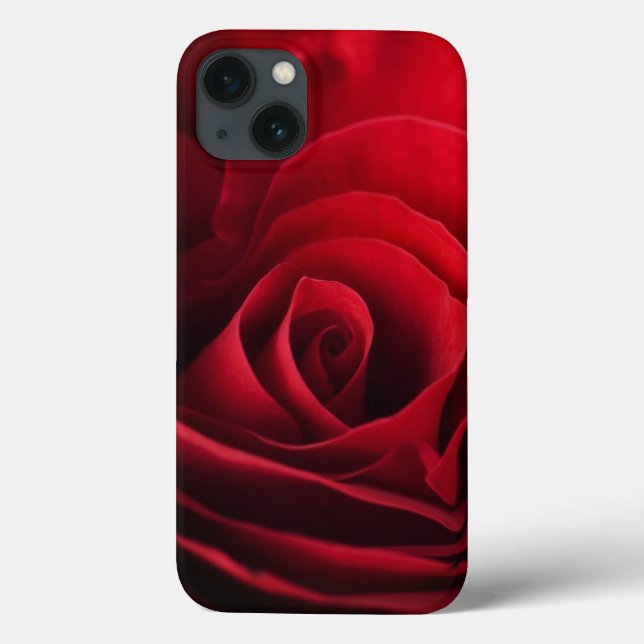 Rosa vermelha dos namorados (Verso)