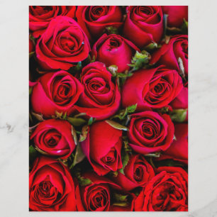 Rosa vermelha Floral