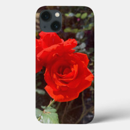 Rosa vermelha iPhone 13 Case