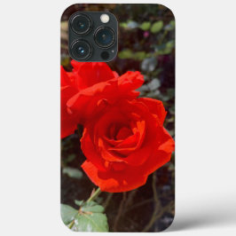 Rosa vermelha iPhone 13 Pro Máx Case