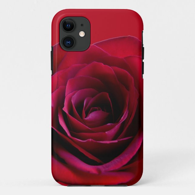 Rosa vermelha iPhone 5 Rosas de gabinete capas de  (Verso)