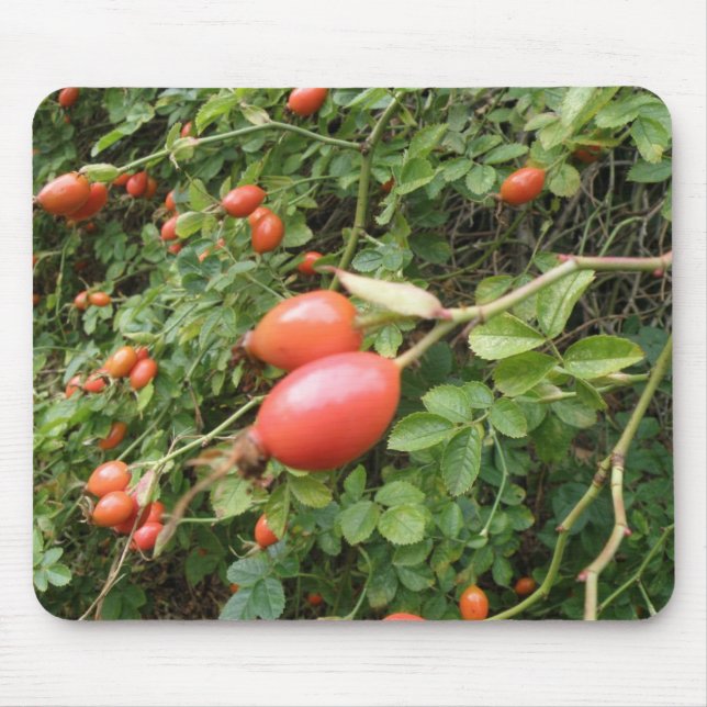 Rosa vermelha Juicy Hips Mousepad (Frente)