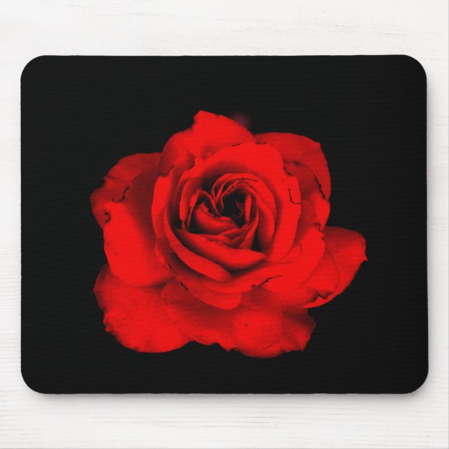 Rosa vermelha Mousepad (Frente)