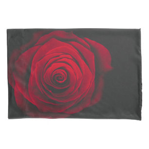 Rosa vermelha no efeito de vintagem em fundo preto