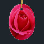 Rosa vermelha Ornamento Romântico Rosa<br><div class="desc">Rosa Romântica Ornamentos Feriados Rosas vermelhas Clássicas Decorações Clássicas Belas Ofertas Românticas de Natal Hanukkah Desorações de Feriados Neutrais Keepsakes & Gifts para Amigos de Aniversário Família Amigos de Aniversário Mulheres Casa e Escritório Original Desorações de Férias Não-Denominadas Cartões de natal de Natal / Cartões de Hanukkah & Gifts de...</div>