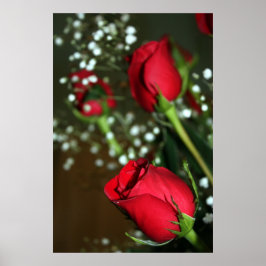 Rosa vermelha Poster