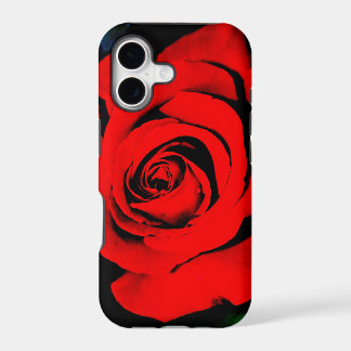 Rosa vermelha profunda