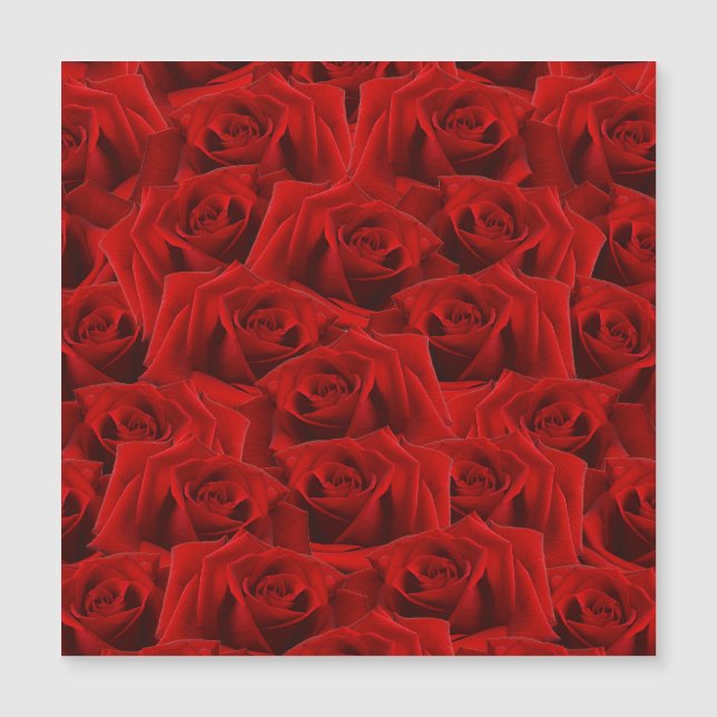 Rosa Vermelha Romântica (Frente)