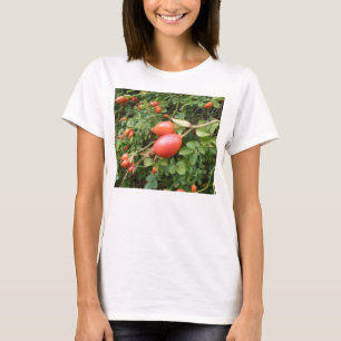 Rosa vermelha Suculenta Hips Damas T Camisa