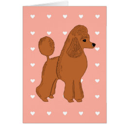 Rosa vermelho do pêssego da caniche com cartão dos