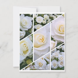 Rosa White Arrow