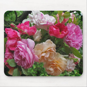 Rosas antigos Mousepad