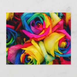 Rosas Arco-íris Flores de rosa paz romântica alegr