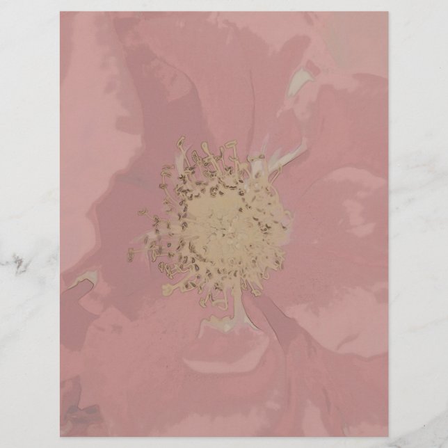 Rosas Bush DullPastel (Frente)