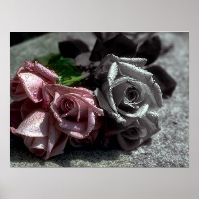 Rosas combinados, preto, branco e poster de cor (Frente)
