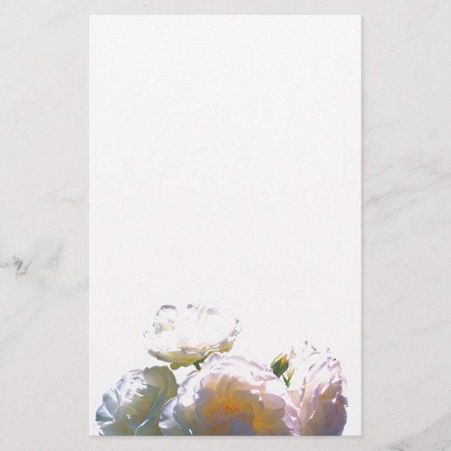 Rosas cor-de-rosa branca, amarela, laranja, âmbar  (Frente)