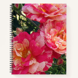 Rosas, cor-de-rosa e branco, de arte plana