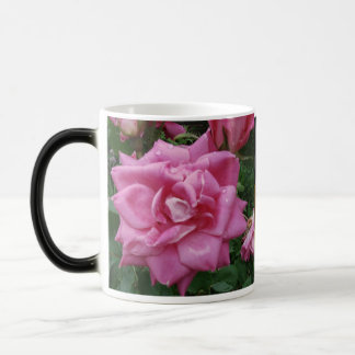 Rosas da caneca da amizade e do amor