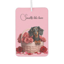 Rosas Dachshund