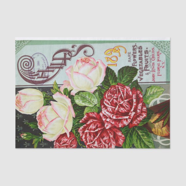Rosas de 1899 Papel antigo com Tecido Impressão (Frente )