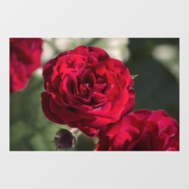 Rosas de Adesivo para Janela - Radiância de Veludo