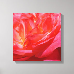 Rosas de Canvas rosa-vermelho impressões de arte