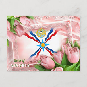 Rosas do cartão postal ASSYRIA