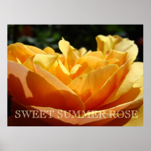ROSAS Doce ROSA de VERÃO 7 Impressões Artísticas P